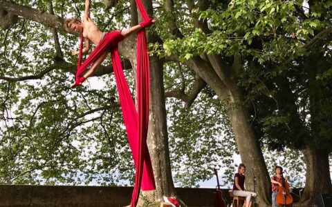 9F906469-F3EC-460A-BD92-6F2351607649